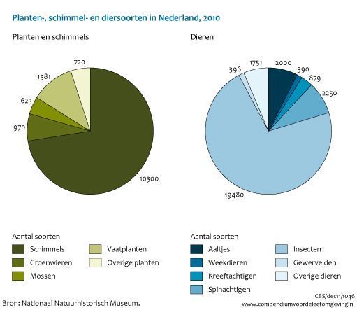Aantal planten-, schimmel- en diersoorten in Nederland in 2010 (bron: CBS)