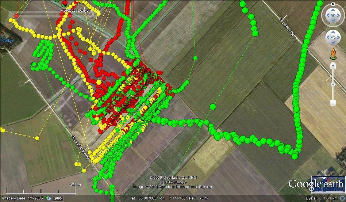 GPS-loggerpunten van één grauwe kiekendief, drie opeenvolgende dagen na het maaien van de luzerne (kaart: Almut Schlaich)