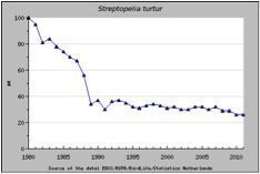 De Europese trend van de Zomertortel van 1980 tot 2011 (Bron: www.ebcc.info)