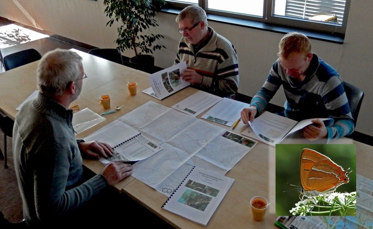 Vlinderteller Gerrit Padding overlegt met Steenwijkse gemeenteambtenaren over waar deze winter eitjes zijn gevonden (foto: Kars Veling)