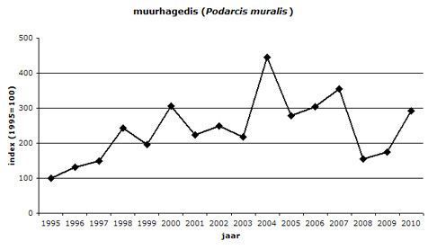 De index van de muurhagedis in Nederland. De soort gaat vooruit, maar is wel onderhevig aan grote aantalsschommelingen (figuur: RAVON/CBS)