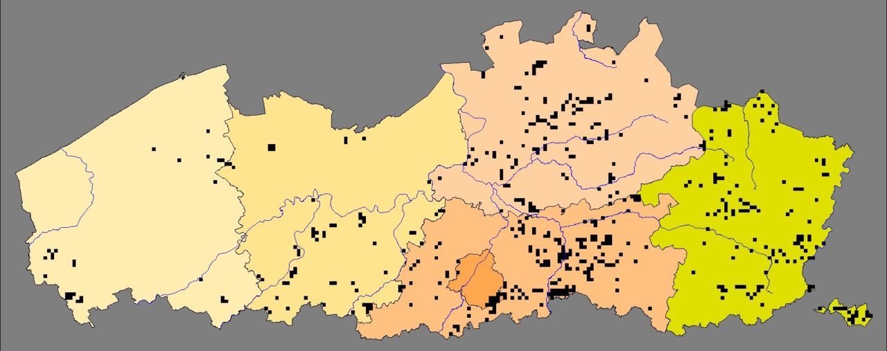 Hazelwormen komen in gans Vlaanderen voor maar zijn nergens algemeen (kaart: Hyla)
