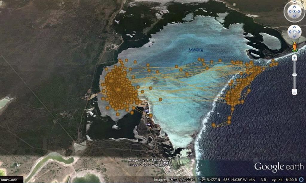 Uncleaned, preliminary data shows the migratory movements of one Hawksbill turtle in and out of Lac Bay, Bonaire, from January to July 2013 (photo: Google Earth Pro - DigitalGlobe)