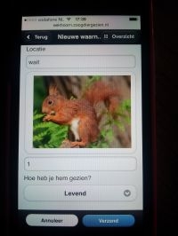 Eekhoorn app (foto: Stefan Vreugdenhil)