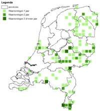 Waarnemingen keizersmantel vanaf 2007 (bron: Telmee & waarneming.nl)