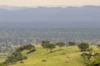 Overwinteringsgebied van Grauwe klauwieren in Afrika (foto: Peter Eekelder)